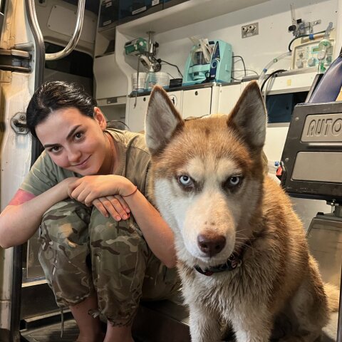 Παγκόσμια Ημέρα Ζώων: Aφιερώνοντας λίγα λεπτά για να αναλογιστούμε αν και πώς μπορούμε να βοηθήσουμε, και πόση σημασία έχει αυτό