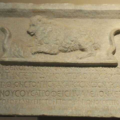 Μυτιλήνη: Ο τάφος μιας σκυλίτσας στην αρχαία ακρόπολη των ρωμαϊκών χρόνων υπενθυμίζει την προαιώνια σχέση ανθρώπου και ζώων.