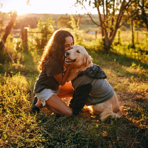 Θεσσαλονίκη: Τρία σκυλάκια που εντοπίστηκαν σε κακή κατάσταση και υιοθετήθηκαν από φιλοζωϊκή ομάδα, μπαίνουν στις αίθουσες των δημοτικών σχολείων. 