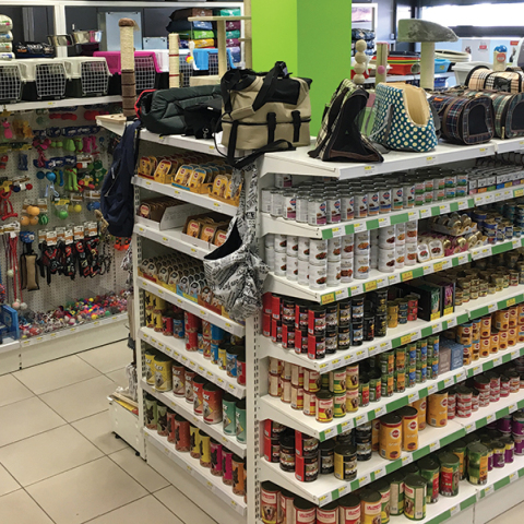 Κτηνιατρική... τα πάντα για τα ζώα