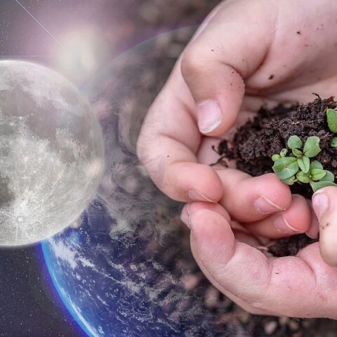 «Στοίχημα» για τους επιστήμονες τα φυτά στη Σελήνη και η καλλιέργειά τους