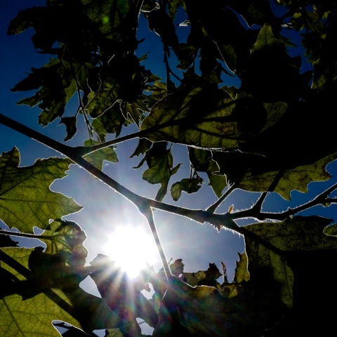 Ηλιοφάνεια - Ο καιρός σήμερα