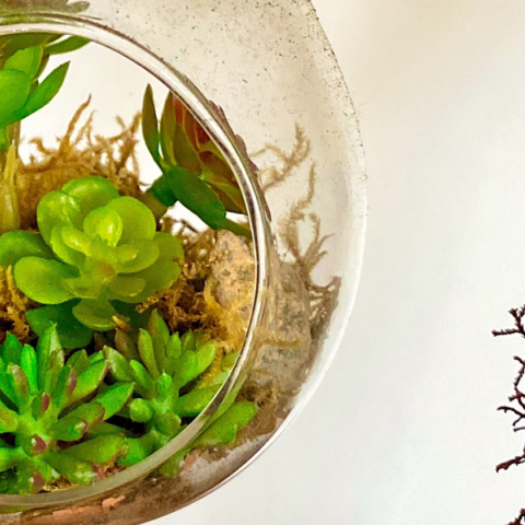 Τι σημαίνει zero waste;