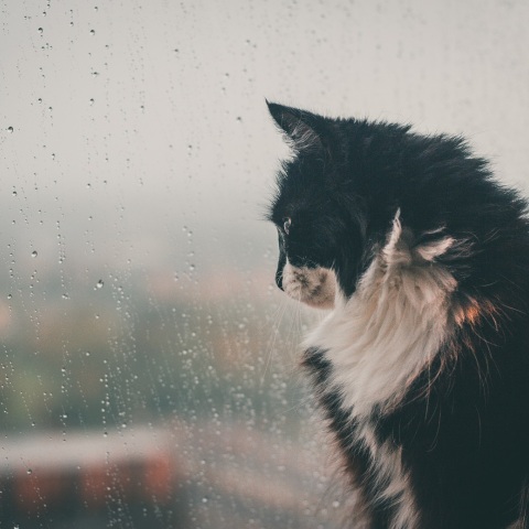 Αλλάζει απότομα το σκηνικό του καιρού από τις βραδινές ώρες της Δευτέρας - Σε ποιες περιοχές της χώρας θα σημειωθούν εντονότερα φαινόμενα. 