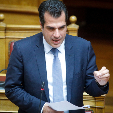 Θάνος Πλεύρης