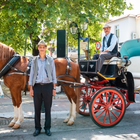 Αμαξάδα στην Κηφισιά