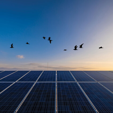 Φωτοβολταϊκά