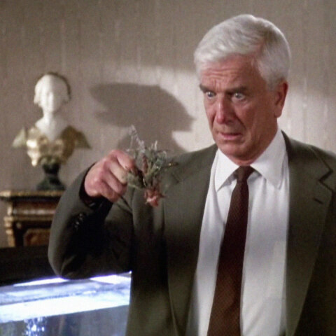 nakedgun