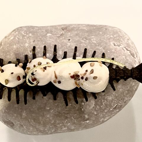 Εστιατόριο Μουράγιο