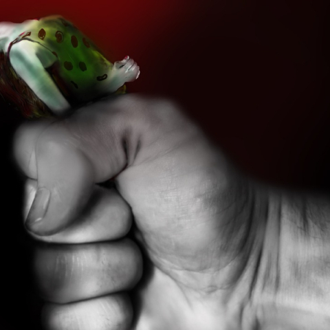 Εικονογράφηση για τη βία κατά των γυναικών