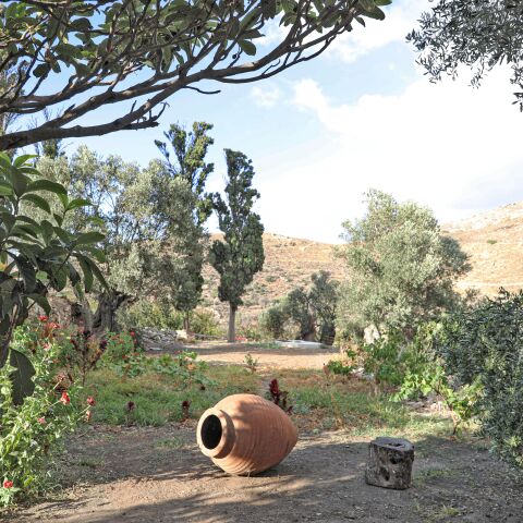 «Μια βραδιά κάτω απ΄ την ελιά» 