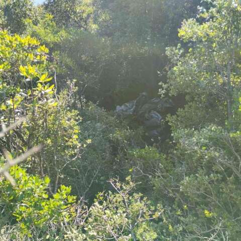 Βυθισμένο στη βλάστηση σε δύσβατη χαράδρα το αυτοκίνητο του ηλικιωμένου ζευγαριού στη Λευκάδα