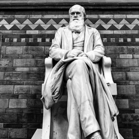 Άγαλμα του Δαρβίνου 