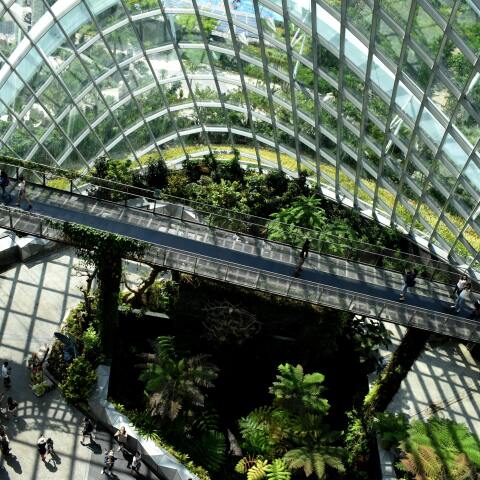 εταιρία με φυτά 