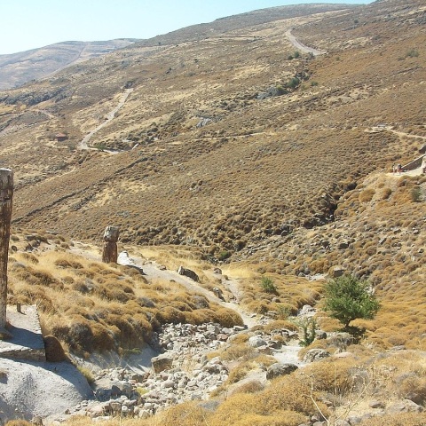 Μυτιλήνη: Το απολιθωμένο δάσος Λέσβου από σήμερα στα πρώτα 100 Μνημεία Γεωλογικής Κληρονομιάς - Απονεμήθηκε το πιστοποιητικό από τη διεθνή επιτροπή.