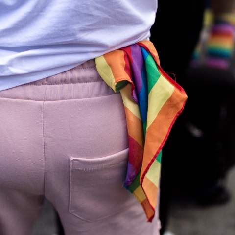 Ρωσία: Το κοινοβούλιο ψήφισε νόμο που απαγορεύει «προπαγάνδα υπέρ των ΛΟΑΤΚΙ» και μεταξύ ενηλίκων – Ελαχιστοποιούνται τα δικαιώματα των ομοφυλόφιλων ατόμων.