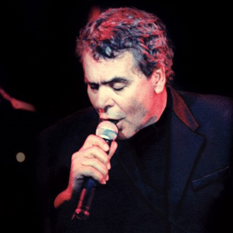 Γιάννης Πουλόπουλος