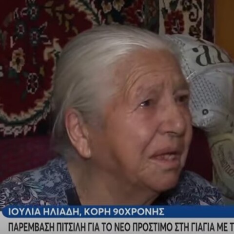 Η γιαγιά με τα τερλίκια