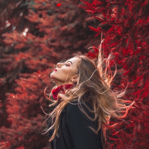 Τα Ζώδια της Κυριακής 06.11.2022: Οι ημερήσιες αστρολογικές προβλέψεις από τον Zarastro