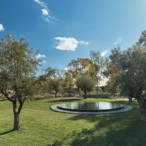 Ενισχύεται το φυσικό πράσινο περιβάλλον στο Ελληνικό – Η Lamda Development προχωρά σε μία από τις μεγαλύτερες μεταφυτεύσεις δέντρων.