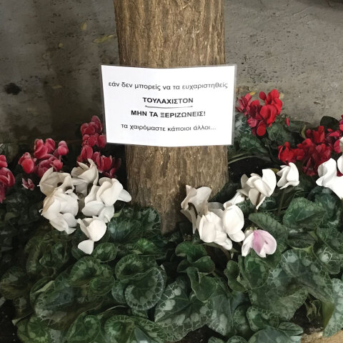 ftiaxe-mou-ti-mera-848