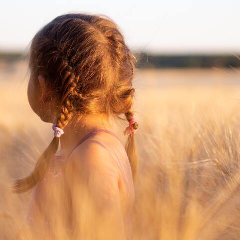Παιδί φωτογραφίζεται γυρισμένο πλάτη ανάμεσα σε στάχυα