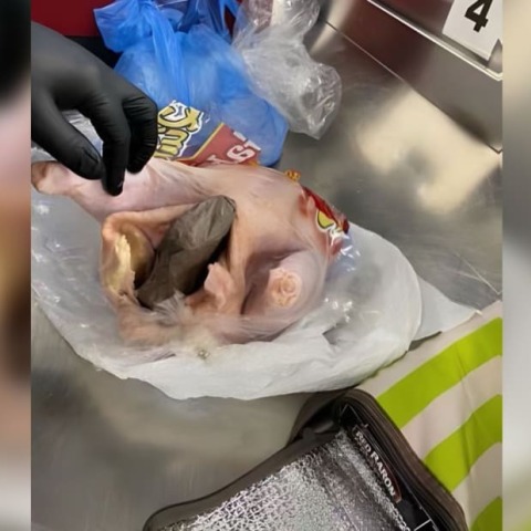Όπλο μέσα σε κοτόπουλο σε αεροδρόμιο της Φλόριντα