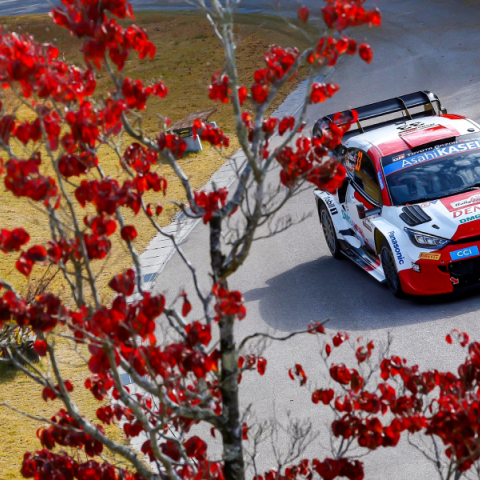 Ράλι Ιαπωνίας