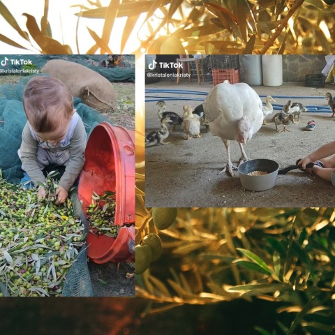 Αγαπήθηκε από το κοινό του Facebook και του TikTok ο μικρός Στέλιος από την Κρήτη - Είναι μόλις 2 ετών, αλλά ασχολείται με αγροτικές και κτηνοτροφικές δουλειές. 