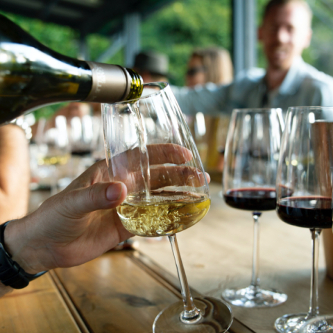 Οινοτουρισμός - Οινογνωσία - Wine tasting