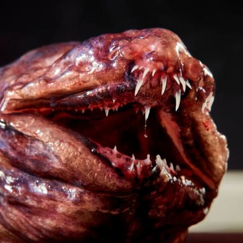 Επιστήμονες ανακάλυψαν εντυπωσιακά πλάσματα στα βάθη της θάλασσας στα νησιά Κόκος στον Ινδικό Ωκεανό