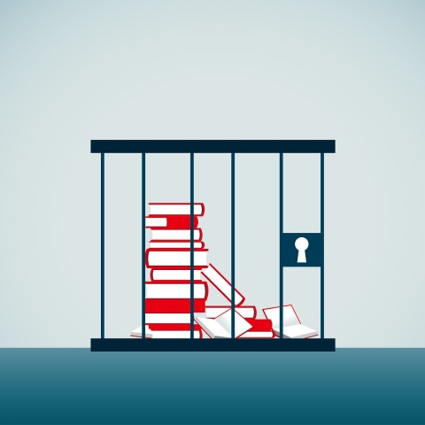 Οι απαγορεύσεις βιβλίων σε σχολεία και βιβλιοθήκες των ΗΠΑ - Οι πιέσεις οργανωμένων ομάδων και ο διχασμός της αμερικανικής κοινωνίας.