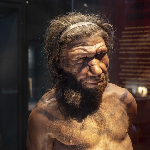 Εντοπίστηκαν σε σπηλιές στην Ελλάδα και το Ιράκ τα παλαιότερα μαγειρεμένα υπολείμματα - Περίπου 70.000 ετών, υποδηλώνουν ότι οι Νεάντερταλ ήταν καλοφαγάδες.