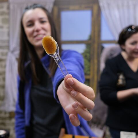 Φεστιβάλ μελιού