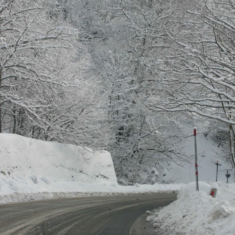 Χιόνια στο Πήλιο: Εκχιονιστικά κινούνται συνεχώς στον δρόμο Βόλου - Ζαγοράς, η θερμοκρασία έπεσε στους -2 βαθμούς στα Χάνια.