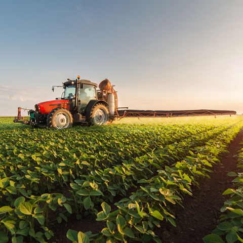 Μια Πράσινη Α-συμφωνία : Κλιματική αλλαγή και Αγροτική Πολιτική