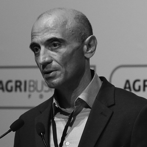 Θανάσης Κίζος