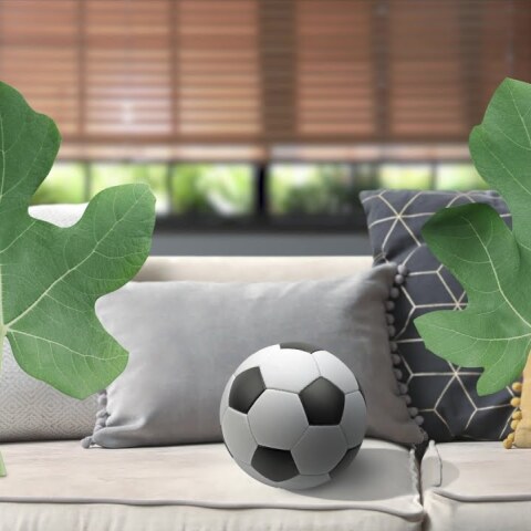Δύο φύλλα συκής με μπάλα ποδοσφαίρου σε καναπέ σπιτιού