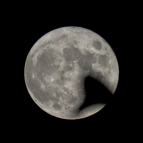 Πανσέληνος