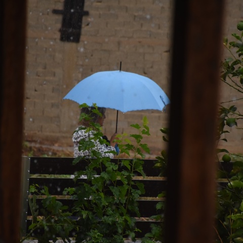 Γυναίκα με ομπρέλα στο βάθος του πλάνου προστατεύεται από τη βροχή - Στο προσκήνιο φυτά με σταγόνες βροχής