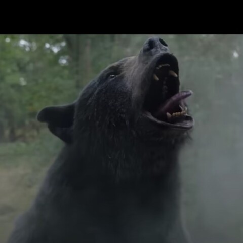 Στιγμιότυπο από την ταινία Cocaine Bear