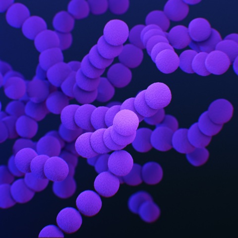 Στρεπτόκοκκος Α: Τι είναι και ποια προβλήματα υγείας μπορεί να προκαλέσει - Ανακοίνωση του ΕΟΔΥ μετά την αύξηση κρουσμάτων στη Βρετανία.