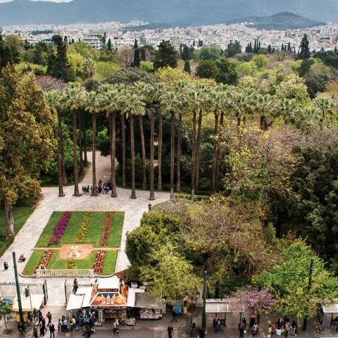 Δέντρα στην Αθήνα