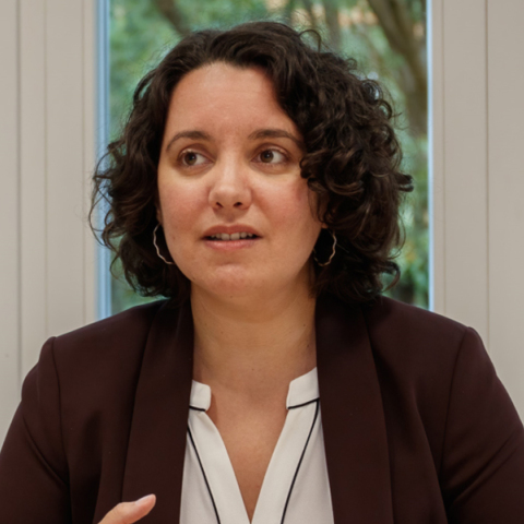 Δρ Έφη Ρούση