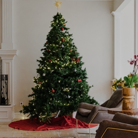 Χριστουγεννιάτικο decor