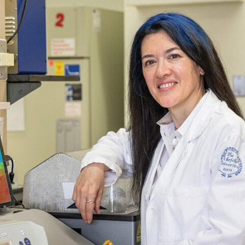 Θεοδώρα Χατζηιωάννου, ααναπληρώτρια καθηγήτρια Ιολογίας στο Πανεπιστήμιο Ροκφέλερ 