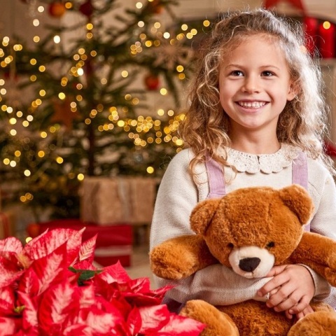 Ημέρα του Αλεξανδρινού: Γιορτάζεται σε όλο τον κόσμο στις 12 Δεκεμβρίου - Η ιστορική διαδρομή του όμορφου φυτού που έχει συνδεθεί άρρηκτα με τα Χριστούγεννα.