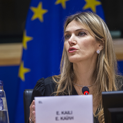 Η Εύα Καϊλή στο Ευρωπαϊκό Κοινοβούλιο