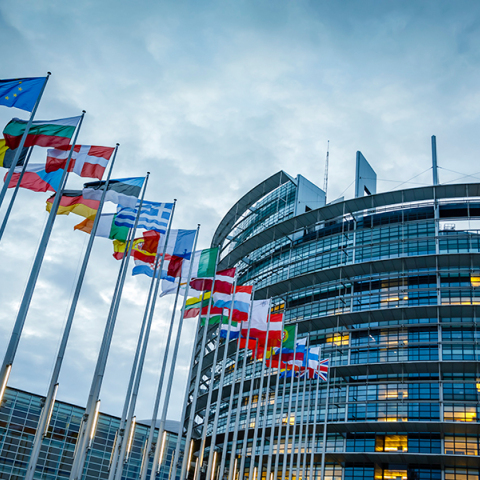 Ευρωπαϊκό Κοινοβούλιο
