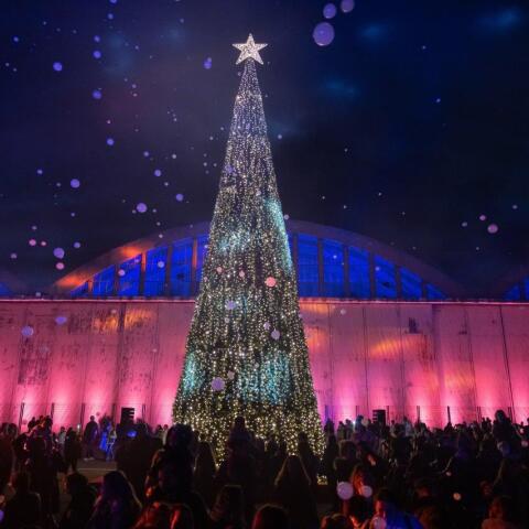 the_ellinikon_experience_park__christmas_tree